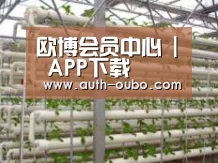 环境展示六