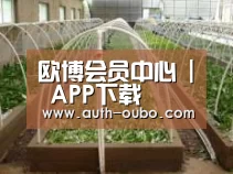 环境展示五