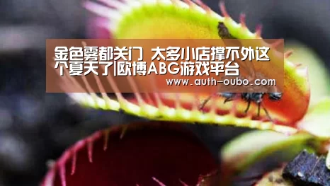 金色雾都关门 太多小店撑不外这个夏天了|欧博ABG游戏平台(图2) 欧博