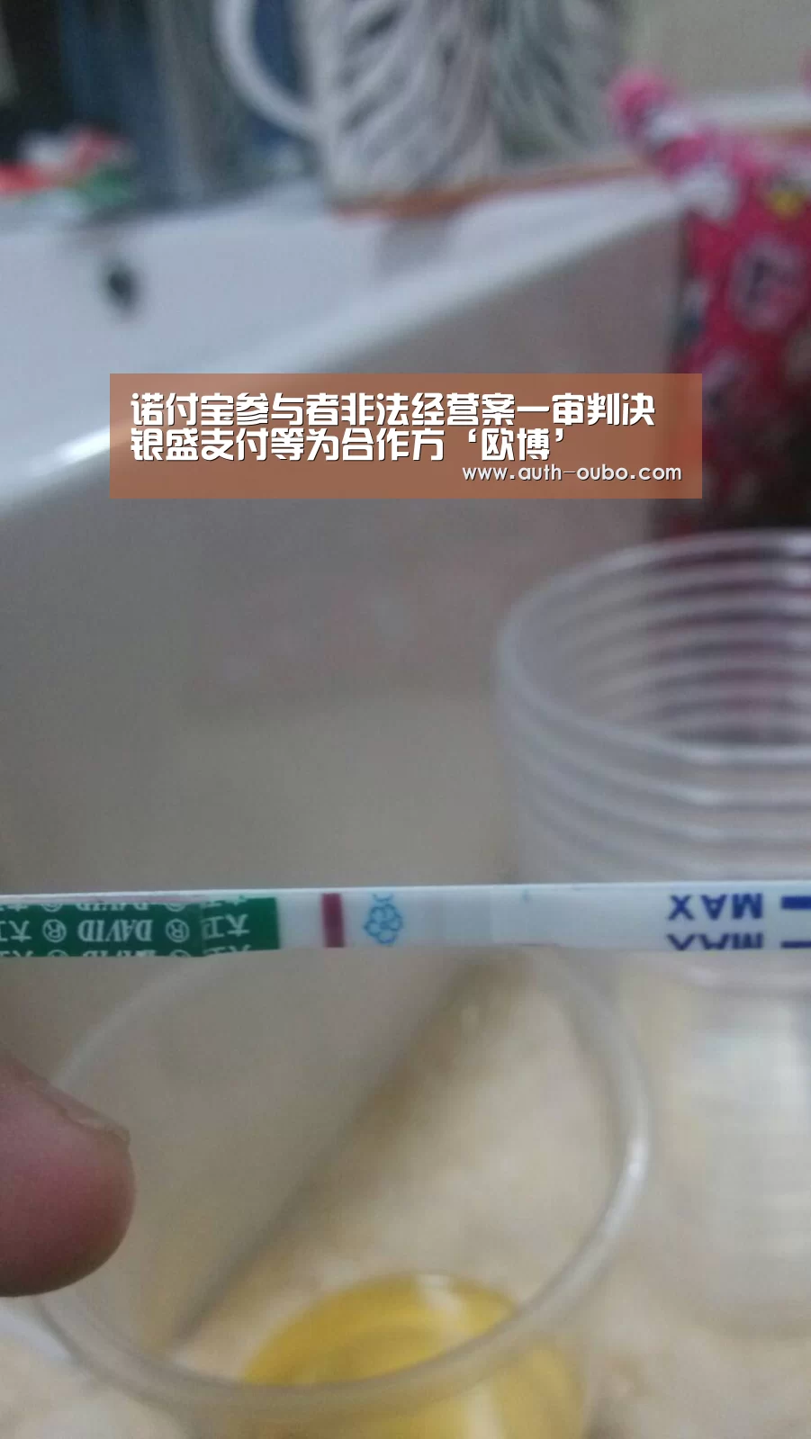诺付宝参与者非法经营案一审判决 银盛支付等为合作方‘欧博’(图3) 欧博