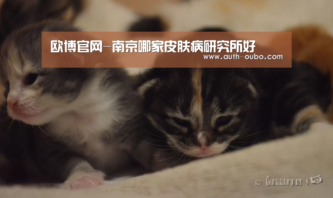 欧博官网-南京哪家皮肤病研究所好(图1) 欧博官网
