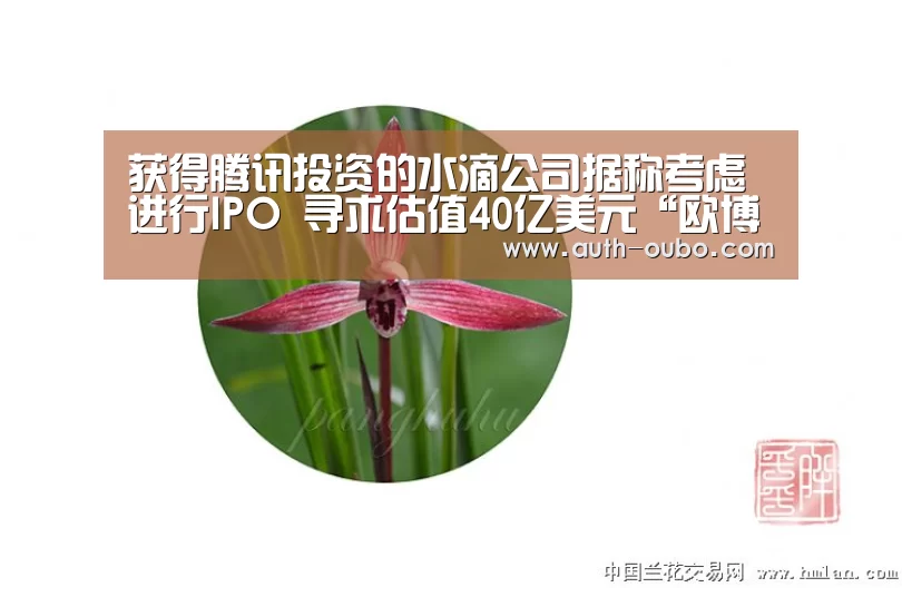 获得腾讯投资的水滴公司据称考虑进行IPO 寻求估值40亿美元“欧博ABG官网”(图1) 欧博