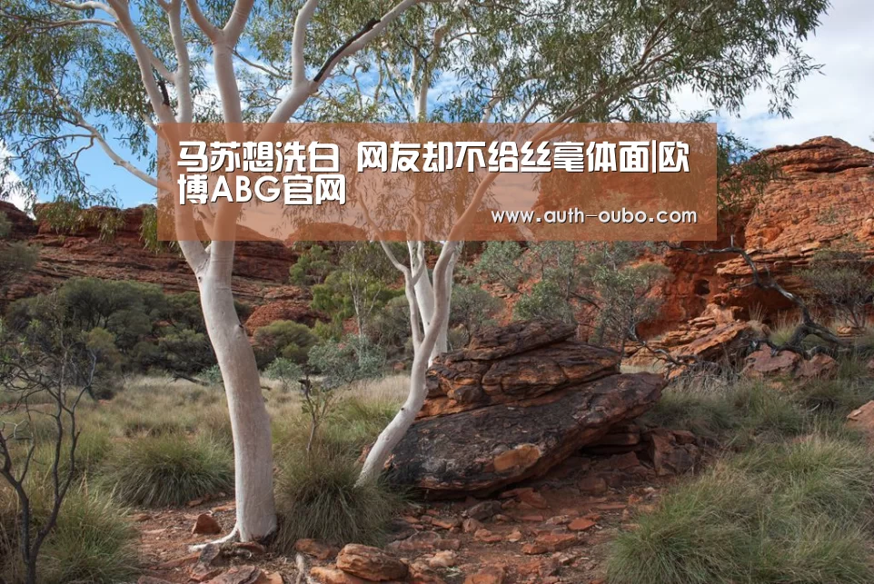 马苏想洗白 网友却不给丝毫体面|欧博ABG官网(图5) 欧博官网