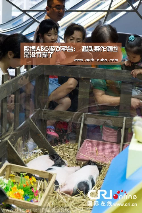 欧博ABG游戏平台:
趣头条作假也是没节操了(图1) 欧博ABG游戏平台